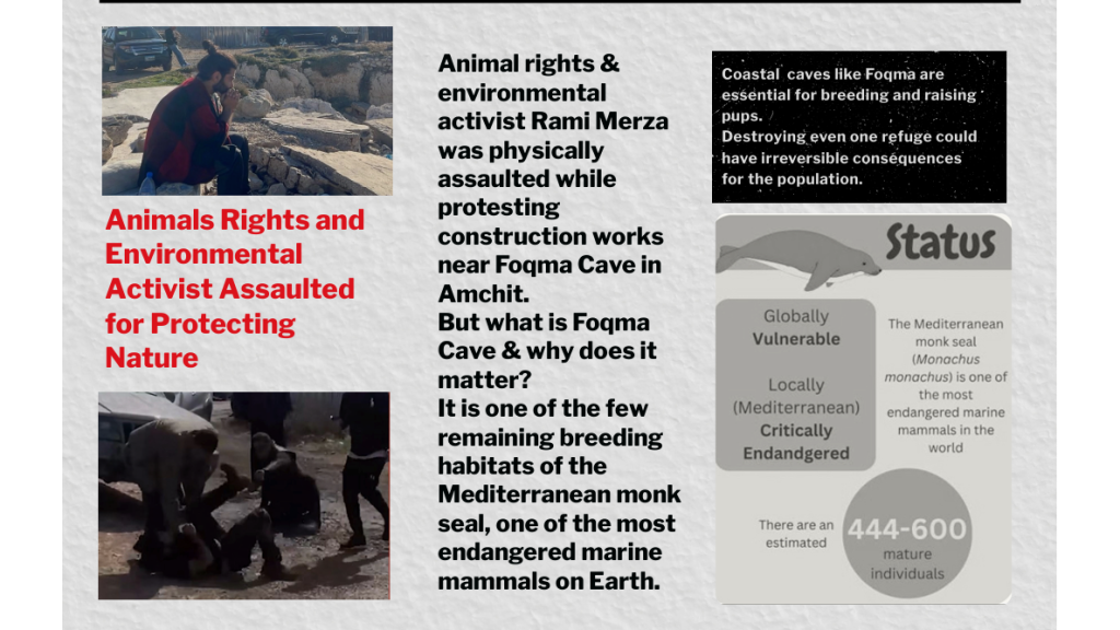 Animals-Rights-and-Environmental-Activist-Assaulted-while-protesting-construction-works-near-Foqma-Cave-in-Amchit