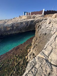 One-of-the-Rarest-Animals-on-Earth-May-Lose-their-Breeding-Site-While-War-Distracts-the-World-2