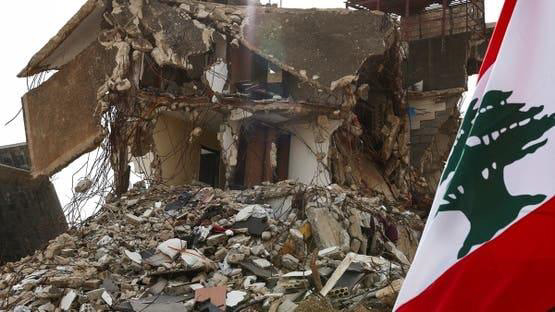 One-of-the-Rarest-Animals-on-Earth-May-Lose-their-Breeding-Site-While-War-Distracts-the-World