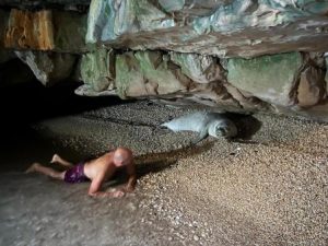 One-of-the-Rarest-Animals-on-Earth-May-Lose-their-Breeding-Site-While-War-Distracts-the-World