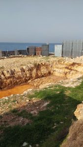 One-of-the-Rarest-Animals-on-Earth-May-Lose-their-Breeding-Site-While-War-Distracts-the-World